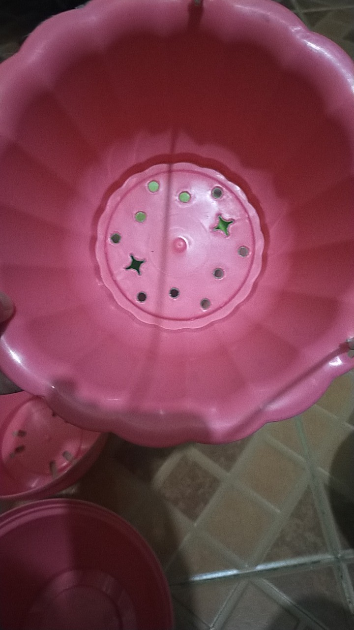 Pot Gantung Bunga Tanaman Nkt Mewah