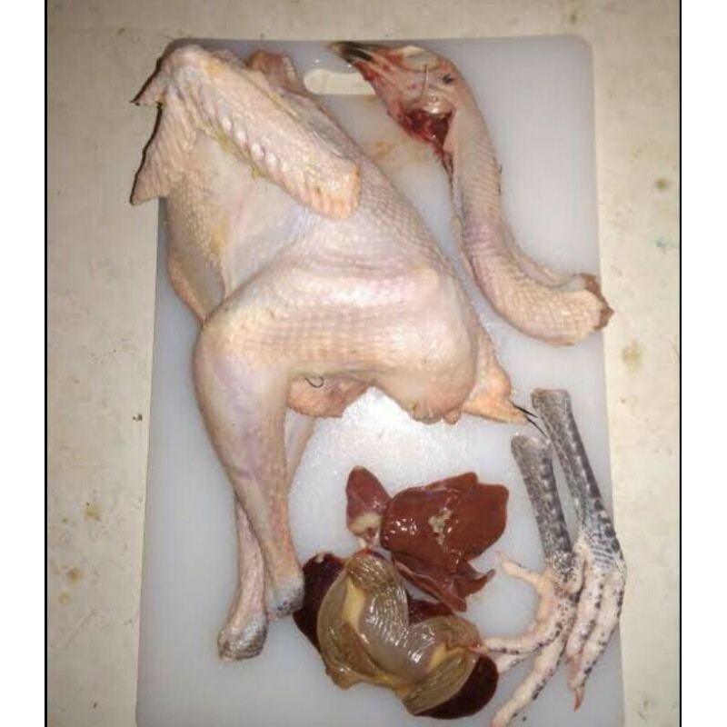 

Ayam kampung/ekor