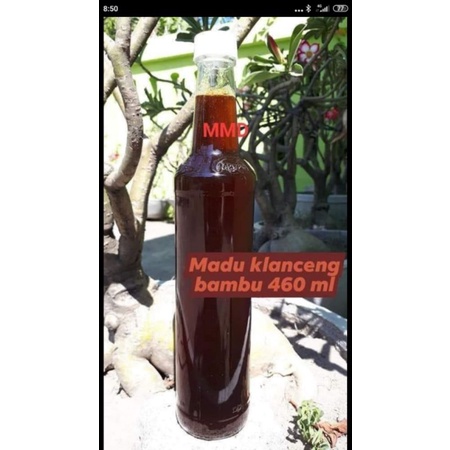 

Madu klanceng bambu kemasan botol marjan 460ml