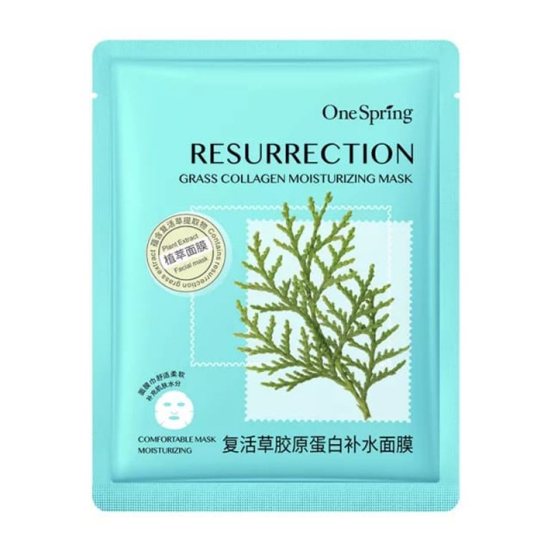 ONE SPRING MOISTURIZING MASK