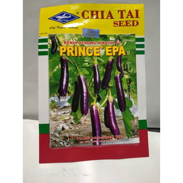 Bibit/benih terong ungu HIBRIDA F1 PRINCE EPA isi 10gr