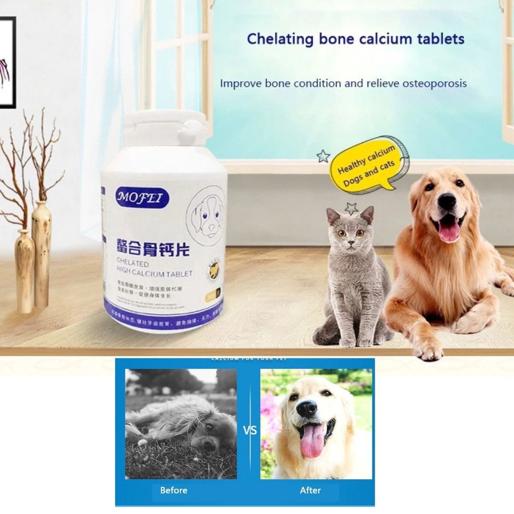 Kalsium Anjing Kondroitin Tulang Besar Kalsium Tablet Kucing Nutrisi Kesehatan Suplemen Kalsium Tulang Penguatan FEFARM