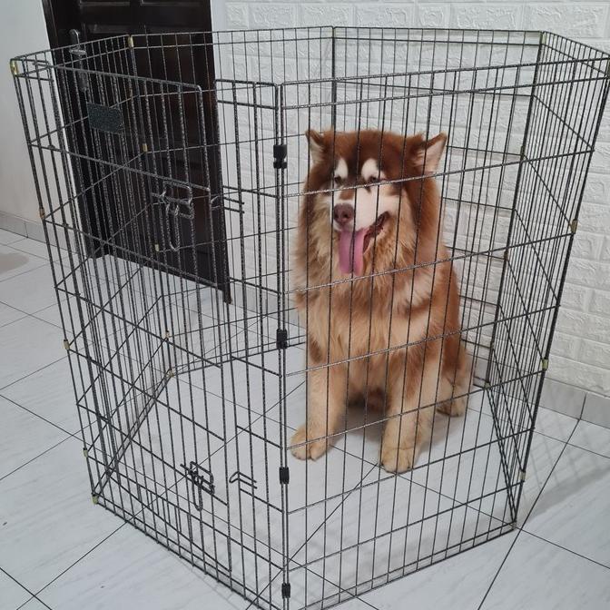 Pagar anjing sekat kucing pagar kelinci tinggi jumbo xxl ORIGINAL ---Murah---