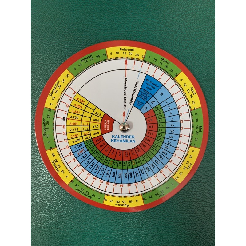 

linse / kalender kehamilan