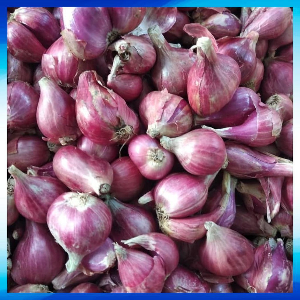 

BAWANG MERAH SUPER BESAR 500 GRAM
