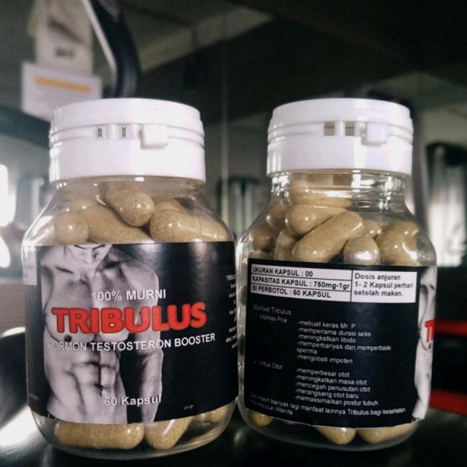 TRIBULUS HORMON TESTOSTERONE 30 KAPSUL