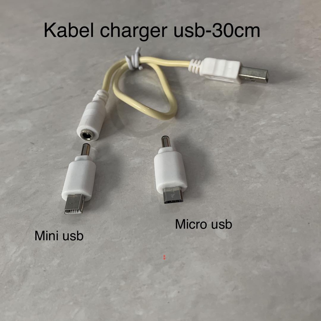 Kabel Charger Usb-30cm (mini usb&amp;micro usb).