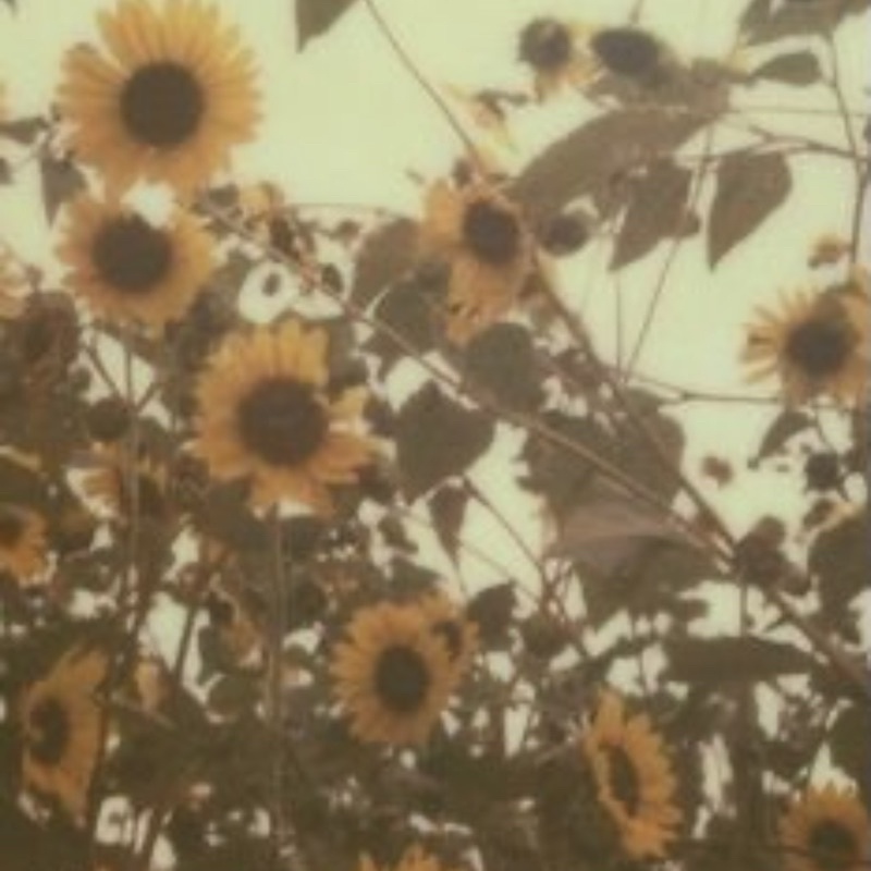 [WTT] PC Jaehyun Empathy to Renjun Empathy Dream ver.