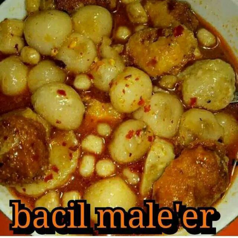 Jual Bacil Maleer Bacil Aja Baso Aci Tulang Rangu Khas Garut Baso Aci