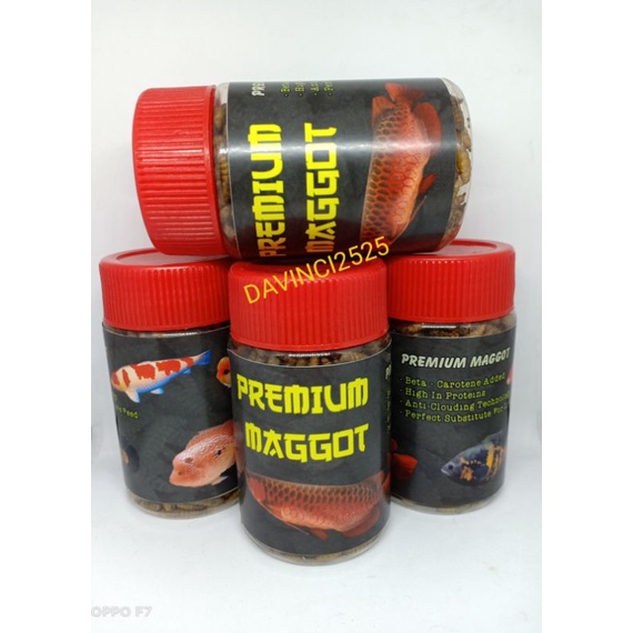 Magot Kering 50gr Premium Maggot kering Pakan ikan hias predator magot kering ulat kering