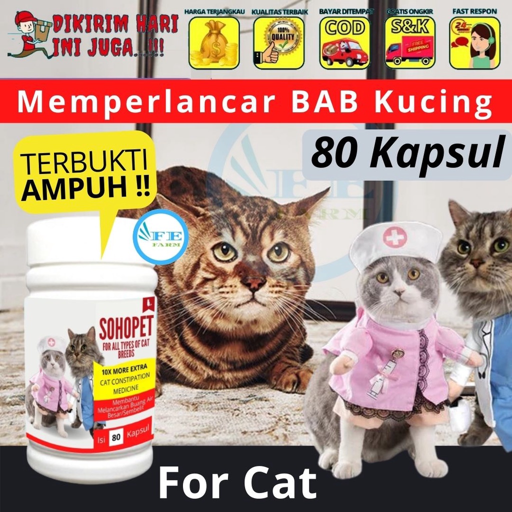 Obat Kucing Susah BAB &amp; Sembelit Pelancar BAB Kucing FEFARM