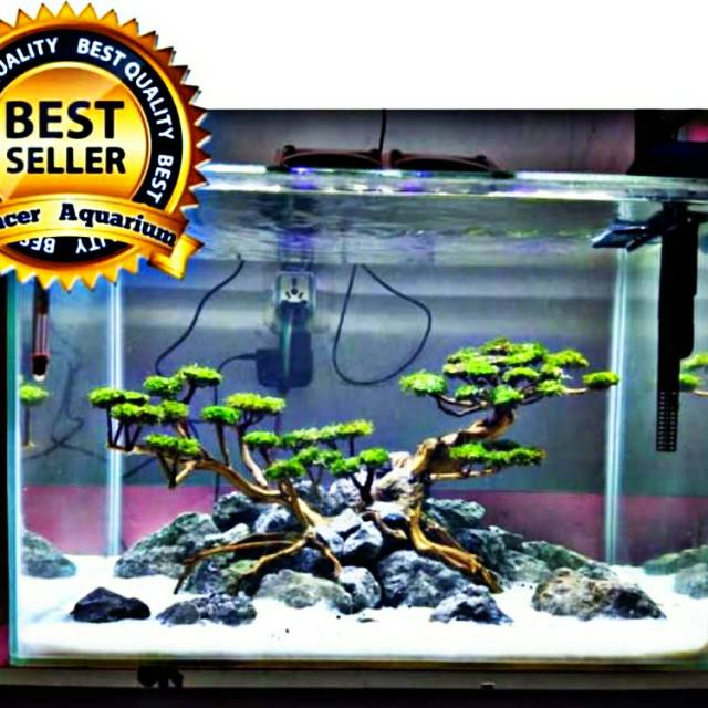 Aquarium Aquascape Jadi Free Kirim Jakarta Kolam Ikan Hias Desain Akuarium Cantik Best Desain Simple Shopee Indonesia