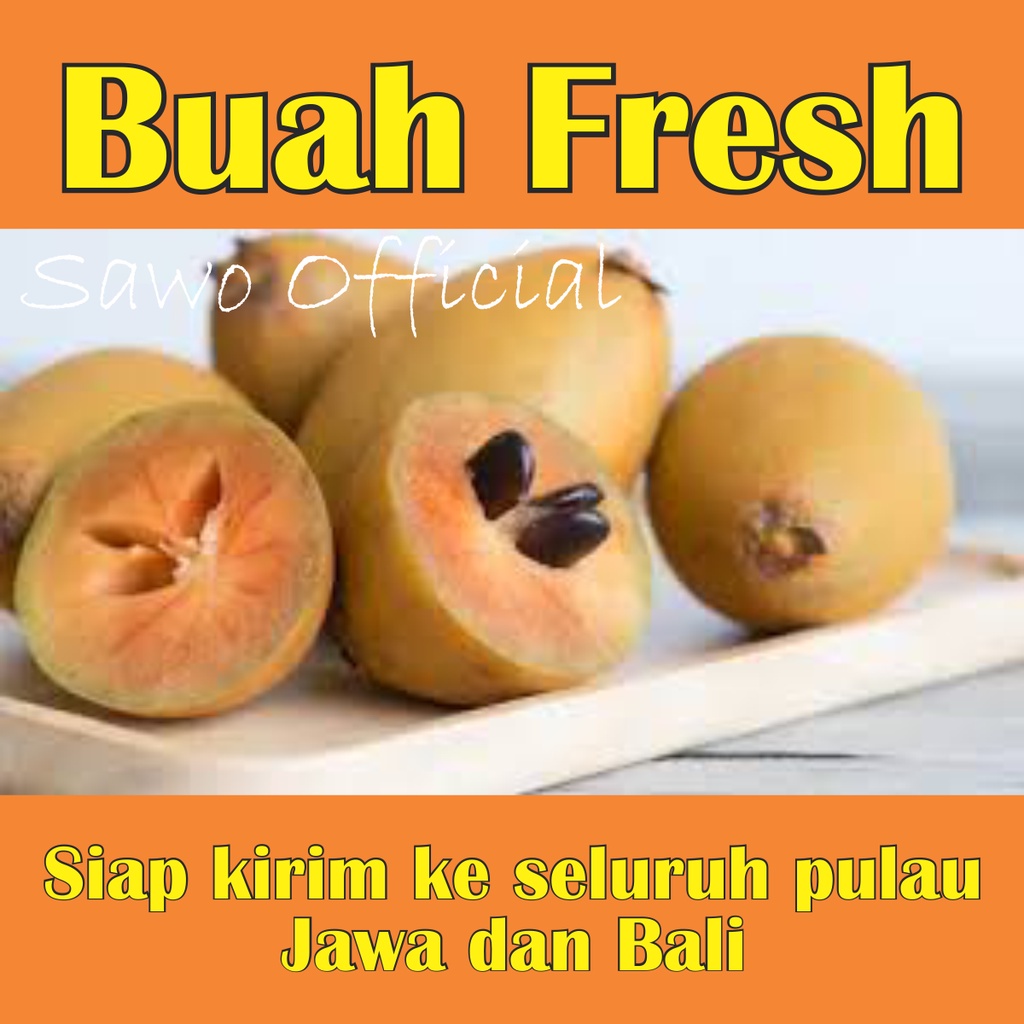 

Buah Sawo manis murah 1 kilogram langsung dipetik dari pohon