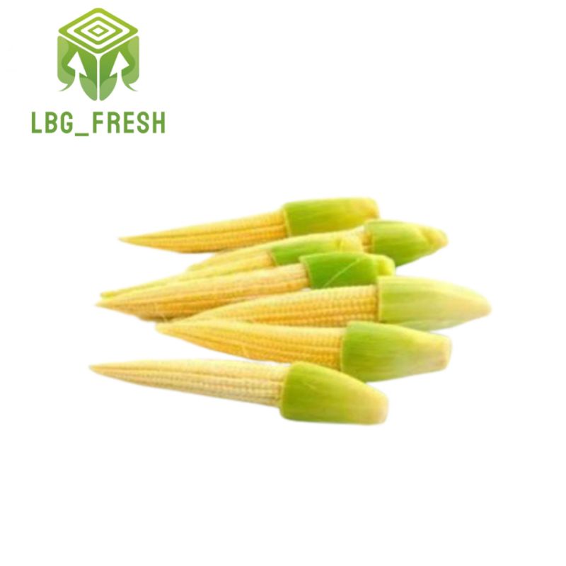 

jagung sayur 1 kg