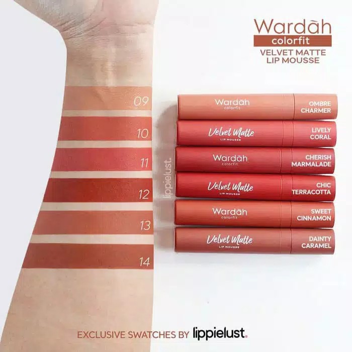 Wardah Colorfit Velvet Matte Lip Mousse