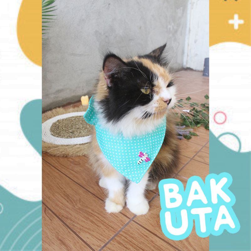 celemek makan imut untuk hewan kucing dan anjing lucu / baju kucing murah size kitten-adult