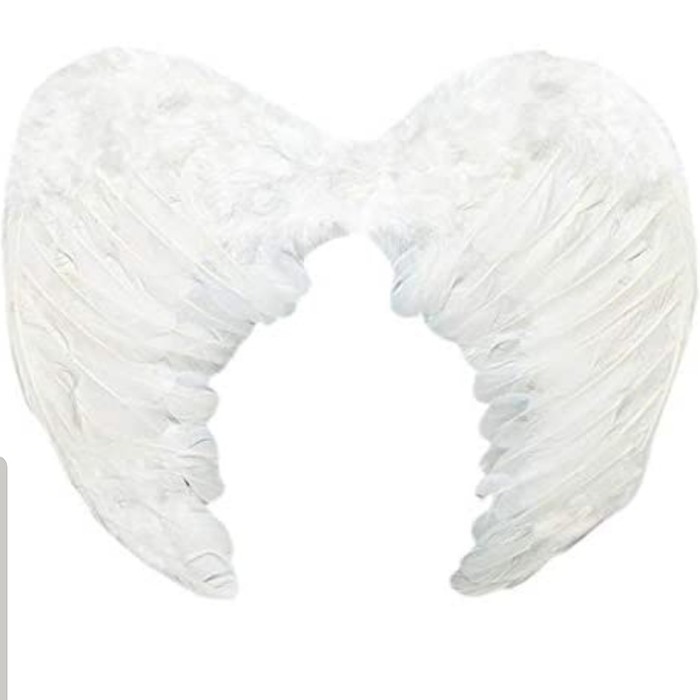 Kostum sayap malaikat Angels wing costume halloween L