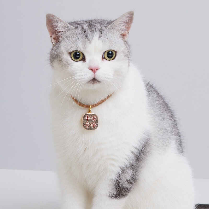 Japanese Maroon Dog Cat Collar Kalung Anjing Kucing Lucu