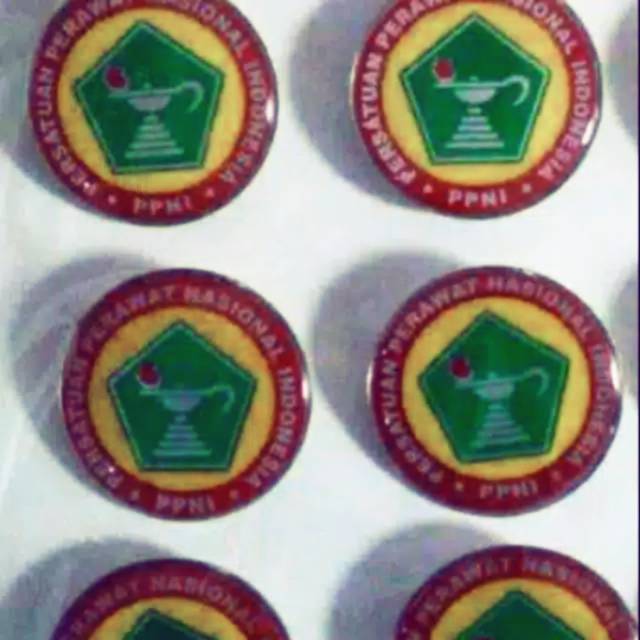 PIN PPNI