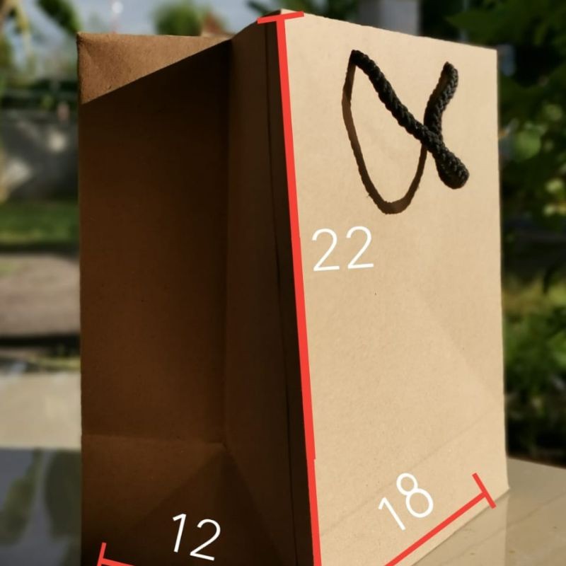 

Paper bag r5 P18 L12 T22