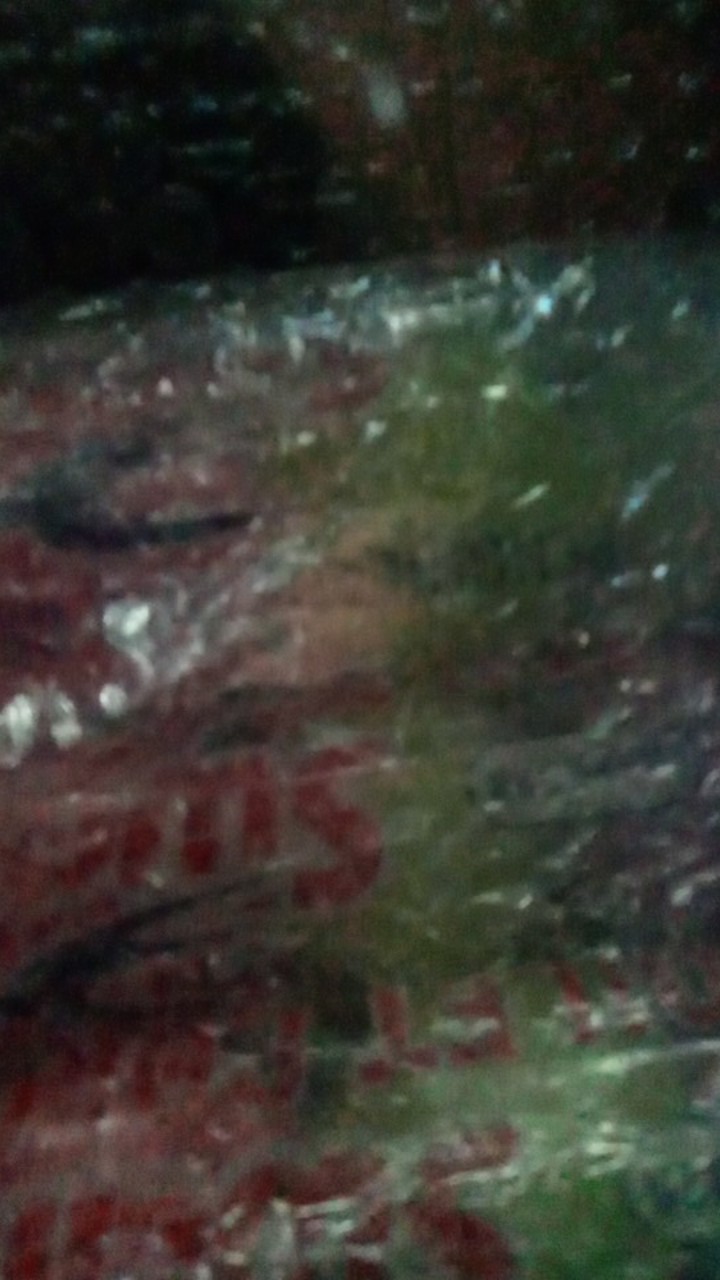 Mama Lemon 1000 / 58ml Sabun Cuci Piring Refill