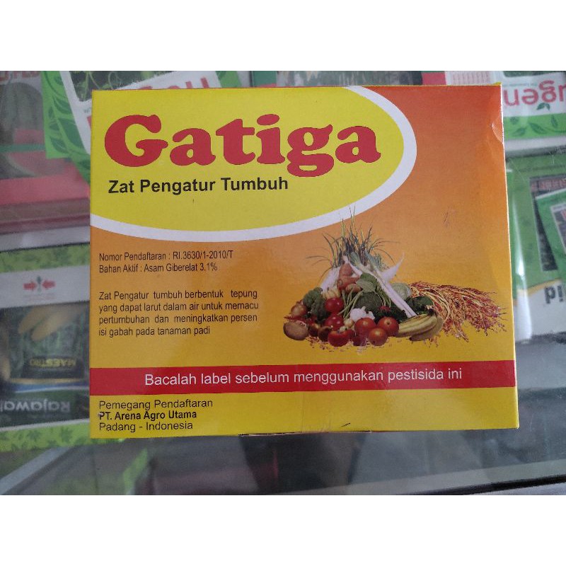 GATIGA 5WP