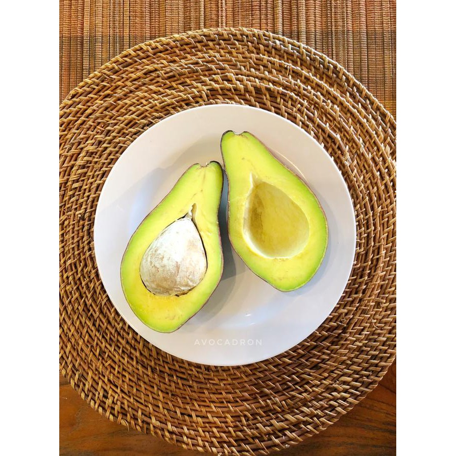 Alpukat Mentega Avocadron