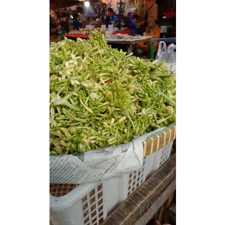 

HARGA PERDAGANG!! Kembang Paya 500Gram
