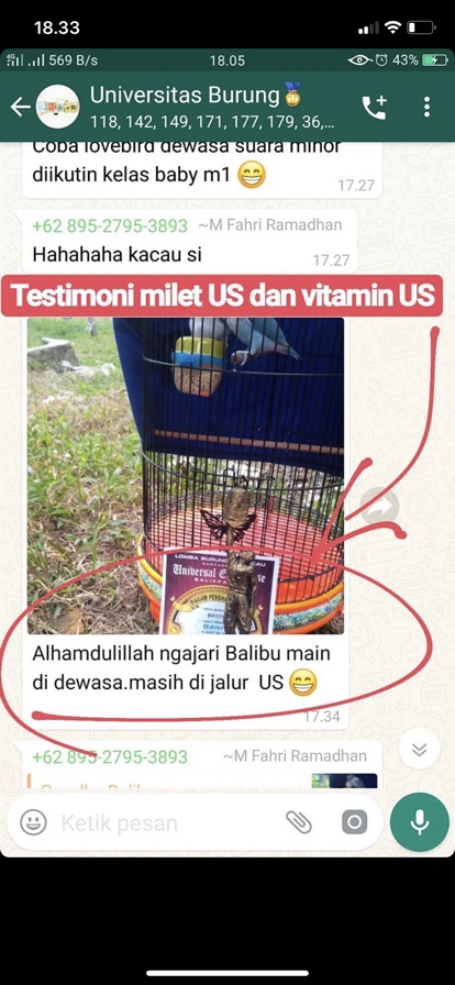 Vitamin US original obat vitamin burung kicau lovebird murai kacer cucak ijo cendet