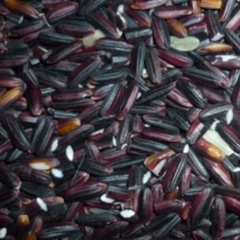 

Ketan Hitam Super 1kg ASLI