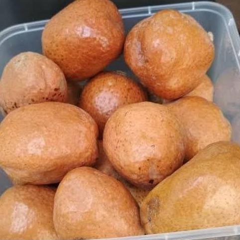 

BISA COD BUAH ZURIYAT UNTUK PROMIL 500 GR FREE TEST PACK MURAH Kode 254