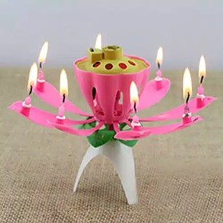 Lilin Topper Kue Bentuk Bunga Lotus dengan Satu Layer Lilin Topper Kue Bentuk Bunga Lotus dengan Satu Layer