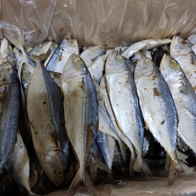 

PEDAK PUTIH 250gr-1kg