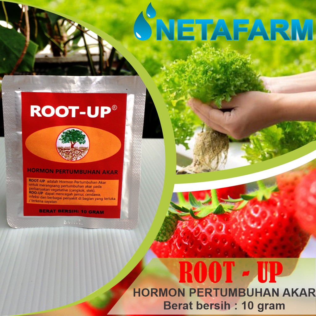 ROOT UP Pupuk Hormon Pertumbuhan Akar - Repacking 10gr