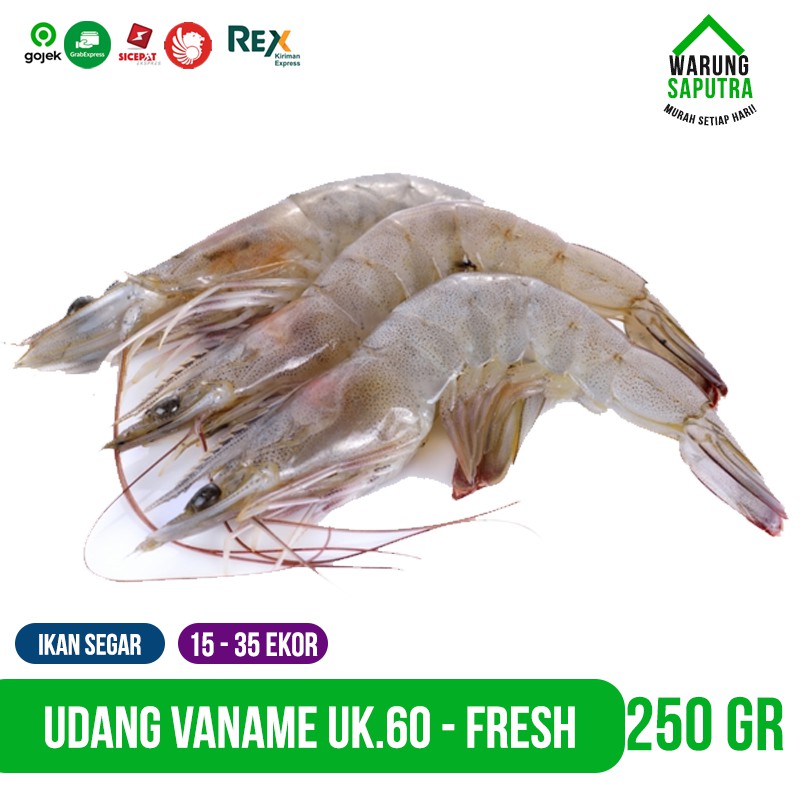 

Udang Vannamei / Vaname / Peci Besar Ukuran 60 Utuh Segar 250g Bandung