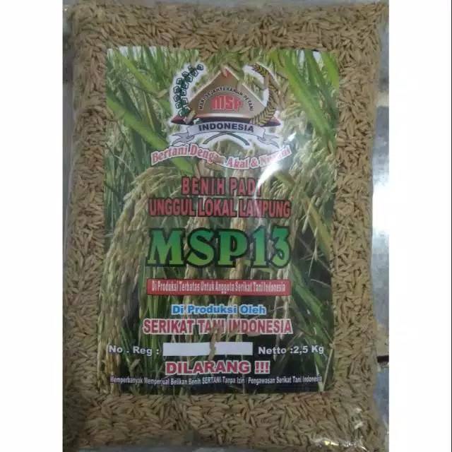 Bibit padi MSP sertani surono. Danu