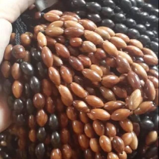 Kaukah motip oval polos