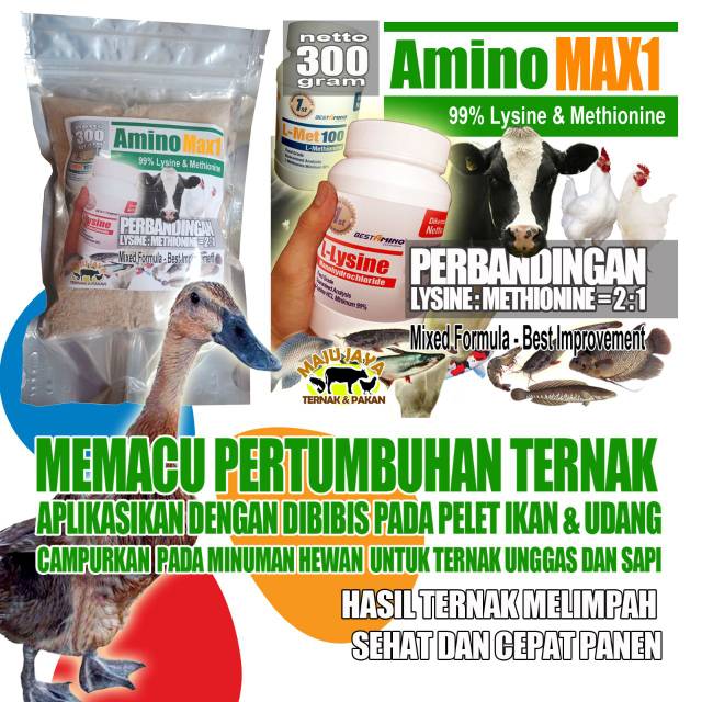 Amino Max1 Hormon Pemacu Pertumbuhan Ternak Ikan Unggas Sapi