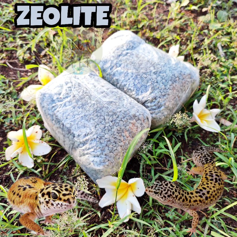 Zeolit Zeolite alas kandang gecko tokek kadal reptil penyerap bau kotoran reptile batu pasir zeolit 