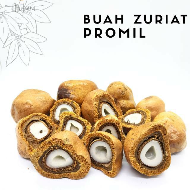

Buah Zuriat Zuriyat Asli Mesir Buah Doom Terbukti