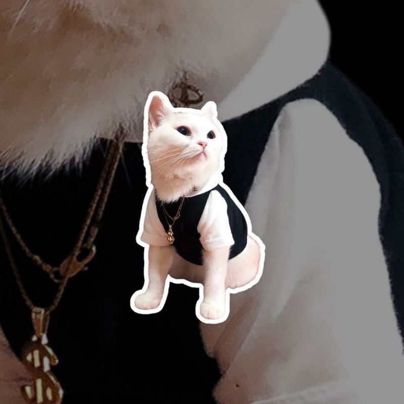 BAJU KUCING HITAM PUTIH