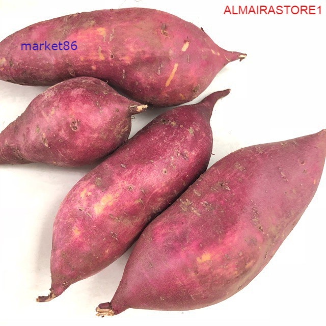 

Grosir Sayur Sayuran Segar FRESH Ubi Merah 500 Gram - Market86
