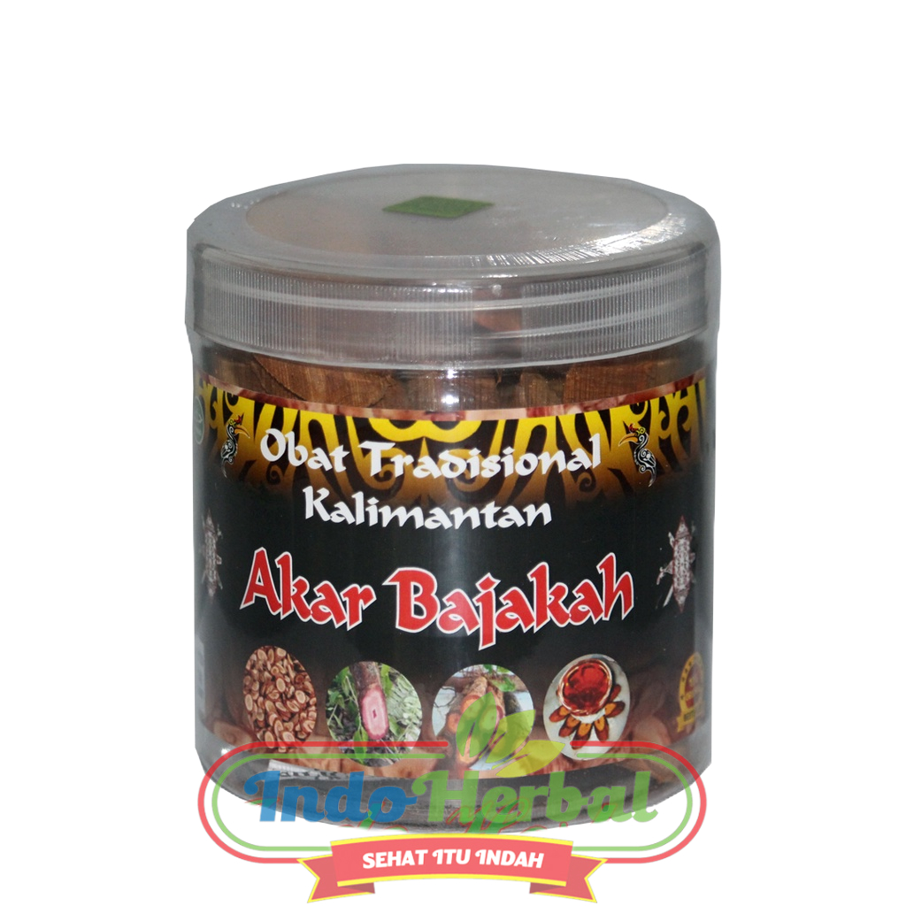 Herbal Tradisional Kalimantan | AKAR BAJAKAH Asli 150 gr