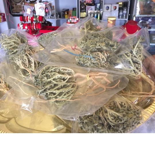 

υ尺 Grosir HERBAL PELANCAR PERSALINAN RUMPUT FATIMAH SANGAT BAGUS BUAT IBU HAMIL JUGA, ORIGINAL ARAB SAUDI ,.