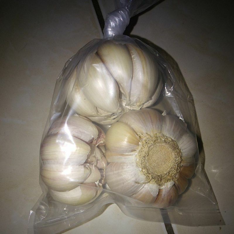 

bawang putih