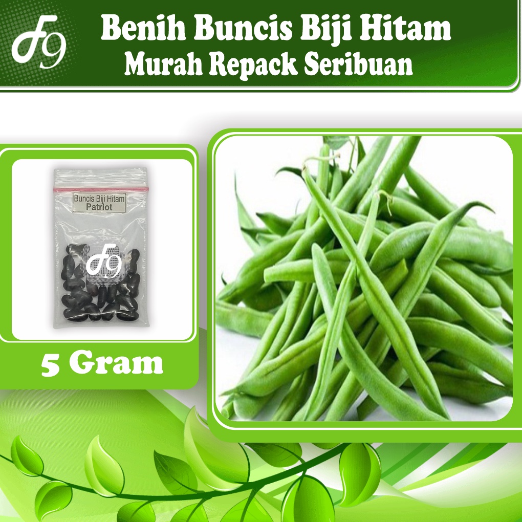 Benih Buncis Biji Hitam Murah Repack Seribuan