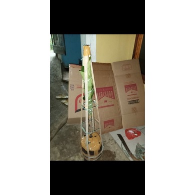 bibit mamey sapote lorito sambung susu