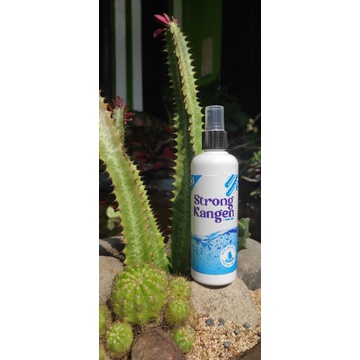 Strong Kangen Spray pH 11,5 by KanGen Water