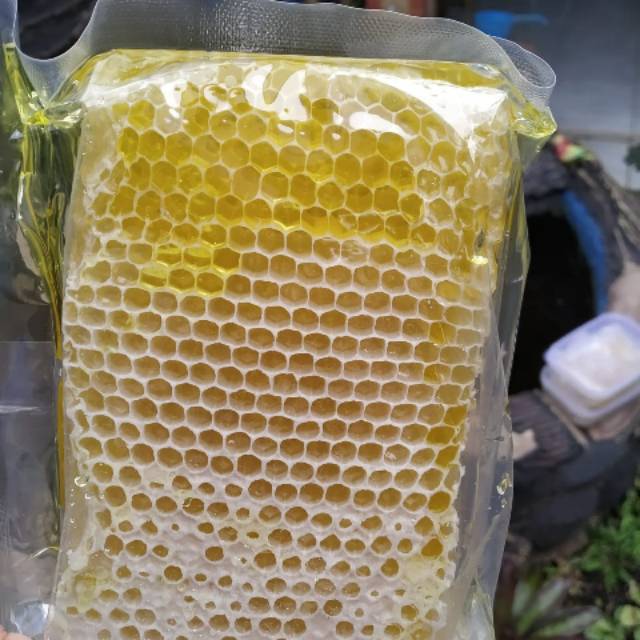 

Madu Sarang Mellifera