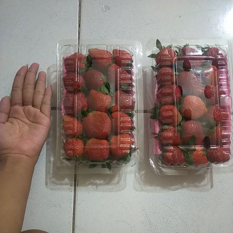 

strawberry fresh